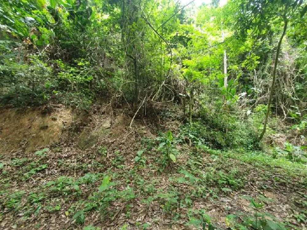 Terreno, 50 m² - Foto 2