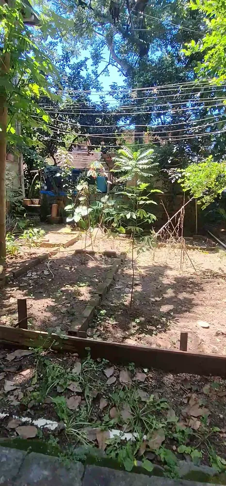Casa, 6 quartos - Foto 11