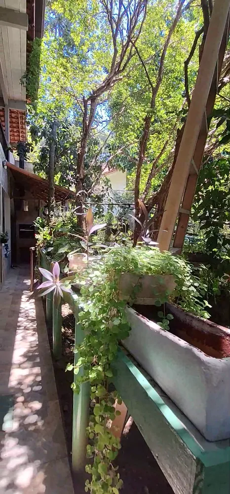 Casa, 6 quartos - Foto 6
