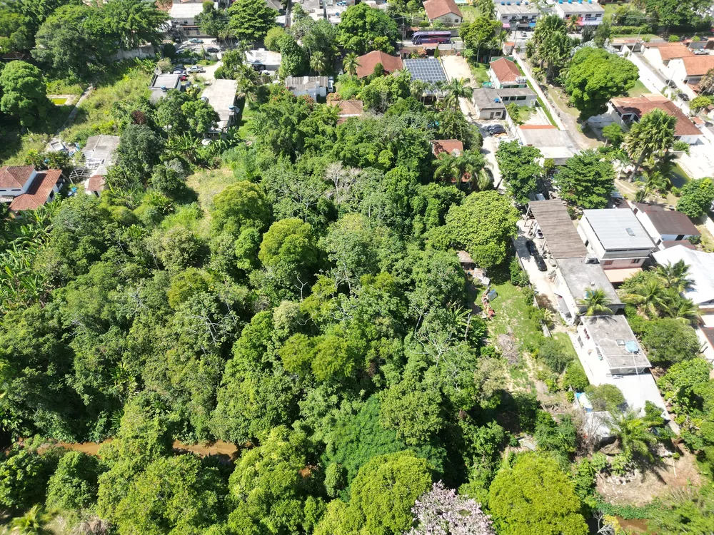 Terreno, 6500 m² - Foto 3