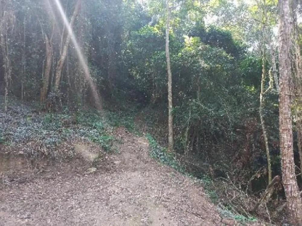 Terreno, 50 m² - Foto 1