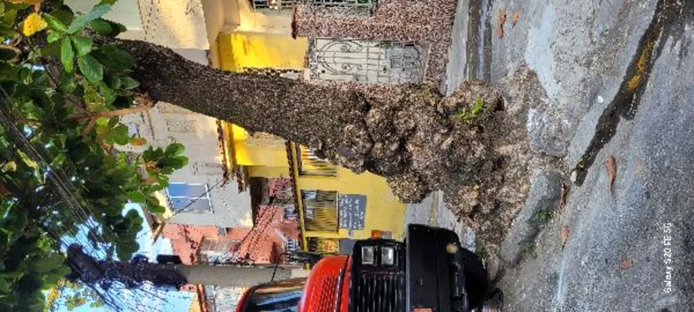 Casa, 2 quartos, 334 m² - Foto 1