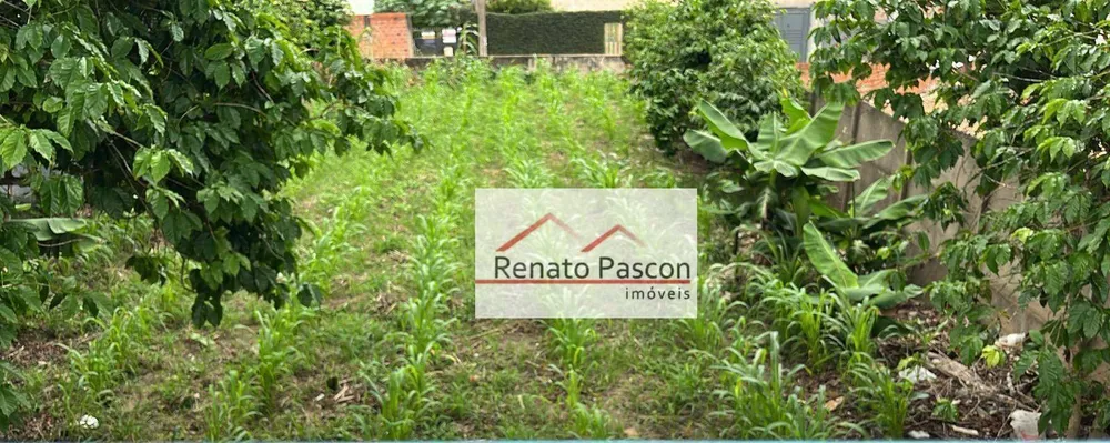 Terreno, 254 m² - Foto 2