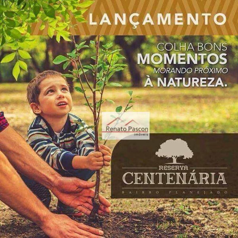 Terreno, 293 m² - Foto 4