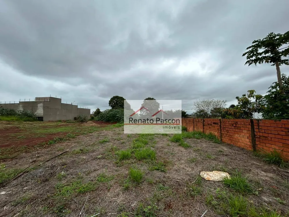 Terreno, 250 m² - Foto 1
