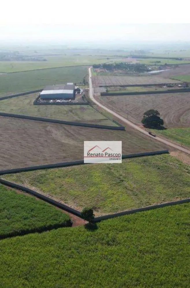 Terreno, 6 hectares - Foto 3