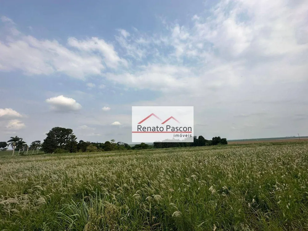Terreno, 6 hectares - Foto 10