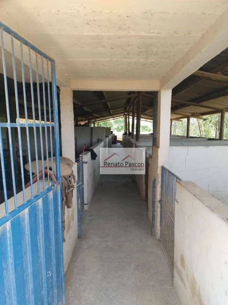 Sítio, 3 quartos, 176 hectares - Foto 12