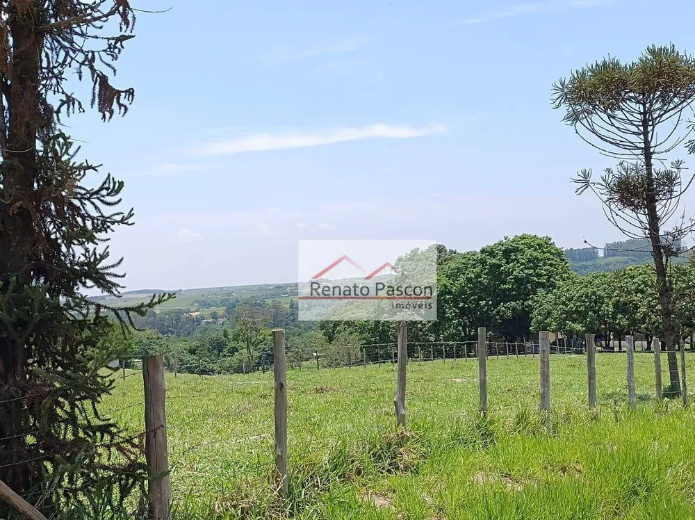 Sítio, 3 quartos, 176 hectares - Foto 11