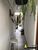 Casa, 2 quartos, 140 m² - Foto 1