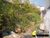 Terreno, 390 m² - Foto 1