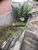 Terreno, 130 m² - Foto 1