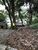 Terreno - Foto 2