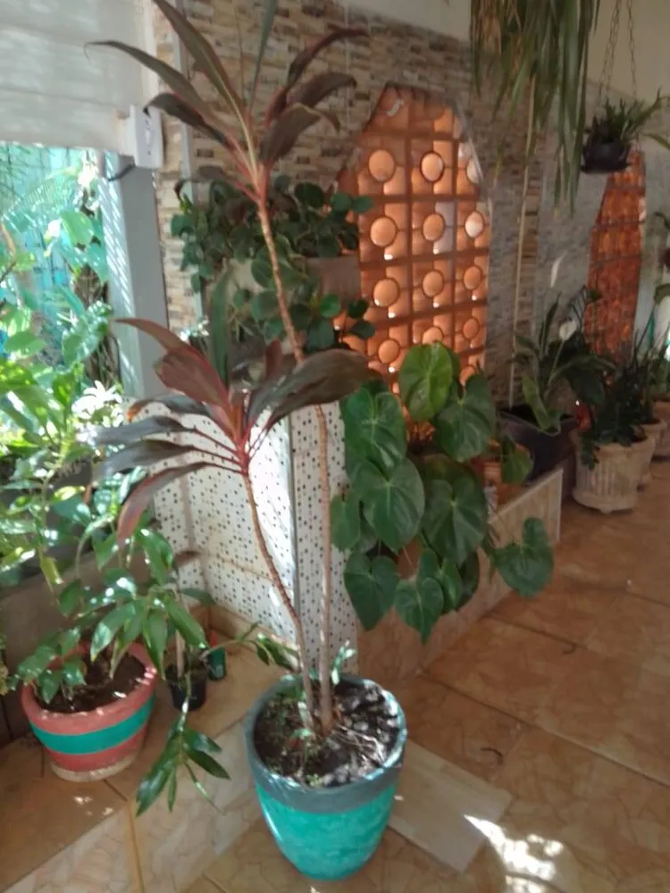 Casa, 3 quartos, 140 m² - Foto 5