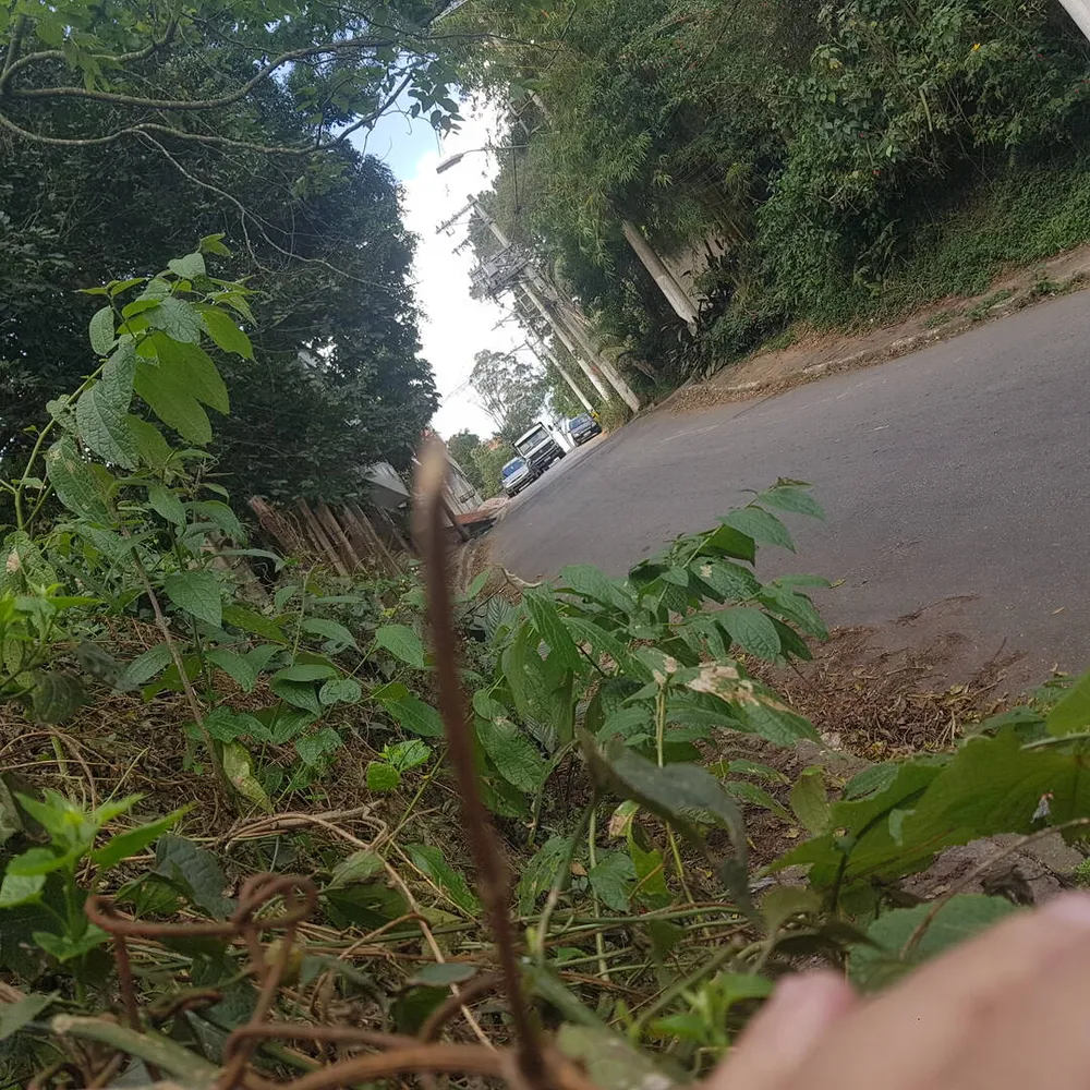 Terreno - Foto 3