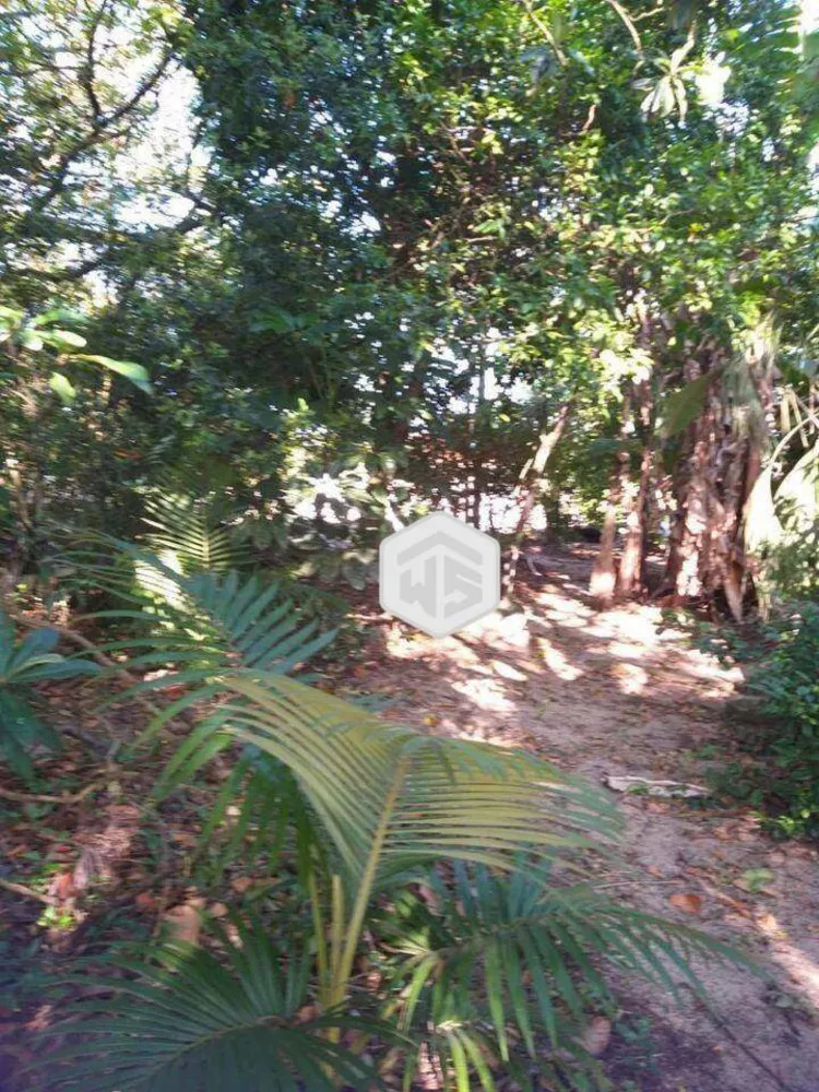 Casa, 4 quartos, 208 m² - Foto 3