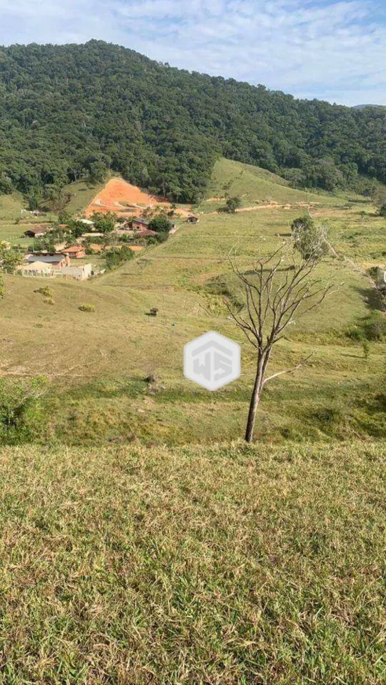 Terreno, 4 hectares - Foto 2