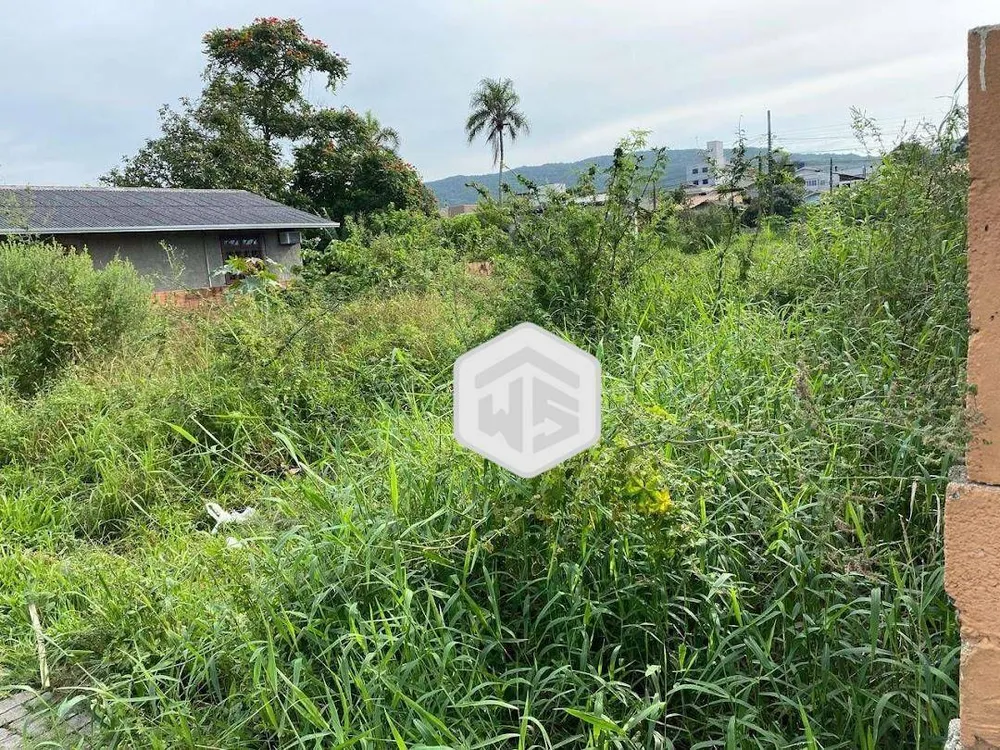 Terreno - Foto 4