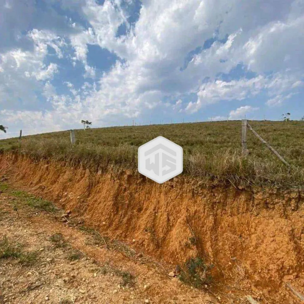 Terreno, 3 hectares - Foto 6