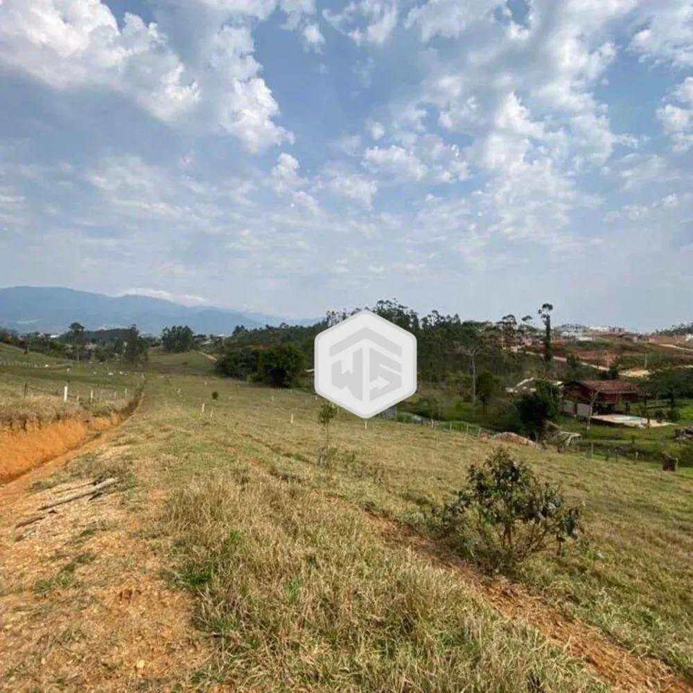 Terreno, 3 hectares - Foto 8