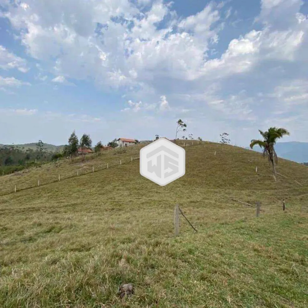 Terreno, 3 hectares - Foto 4