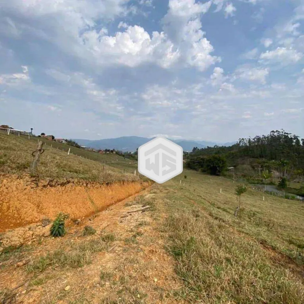 Terreno, 3 hectares - Foto 7