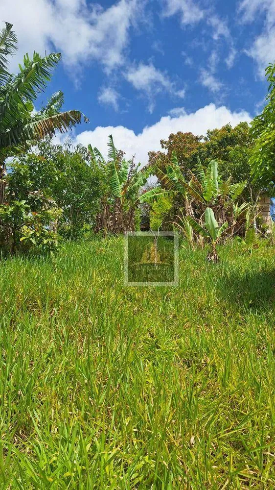 Loteamento e Condomínio, 2600 m² - Foto 5