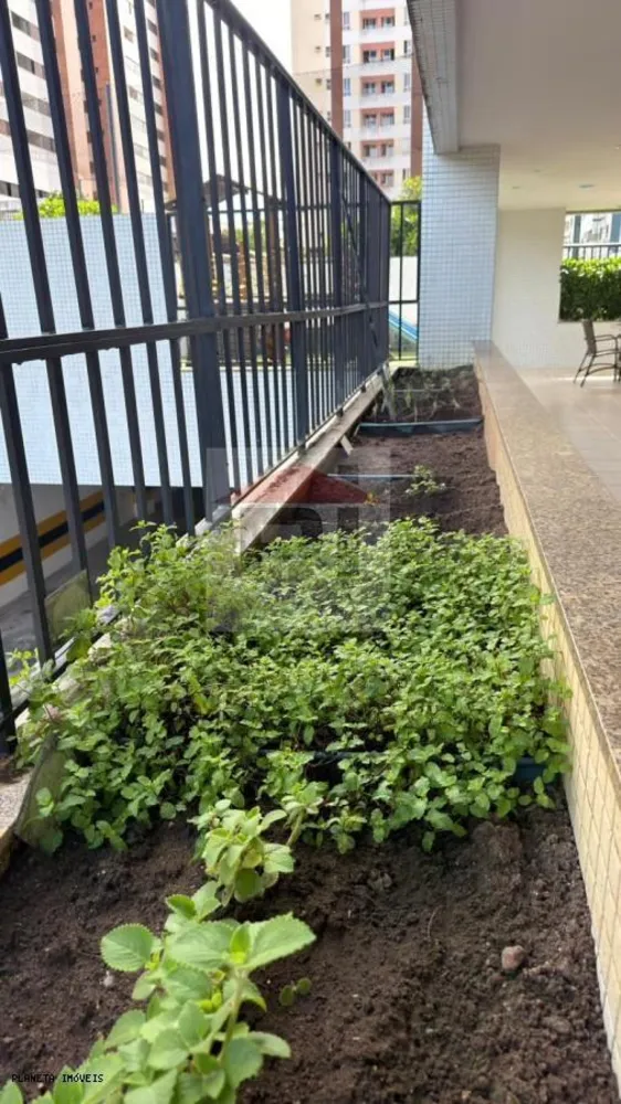 Apartamento, 3 quartos, 78 m² - Foto 12