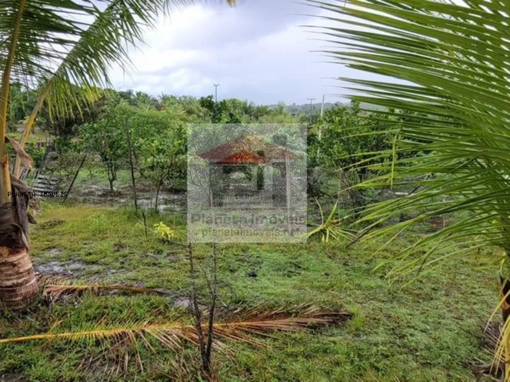 Sítio, 2 quartos, 4 hectares - Foto 4