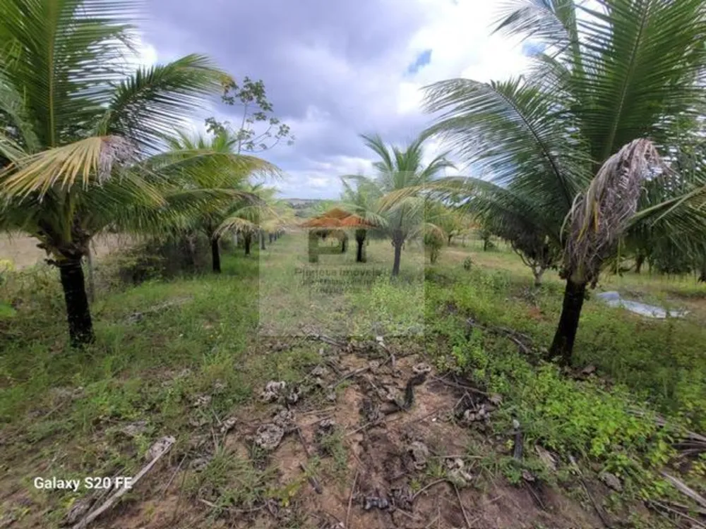 Terreno, 4000 m² - Foto 4