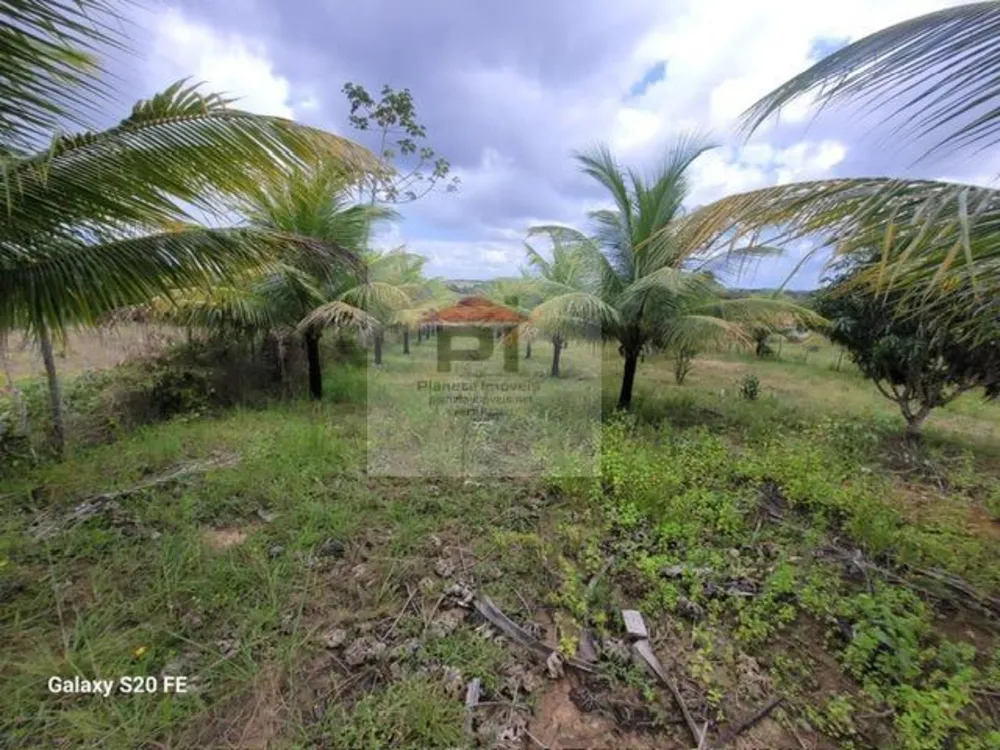 Terreno, 4000 m² - Foto 8