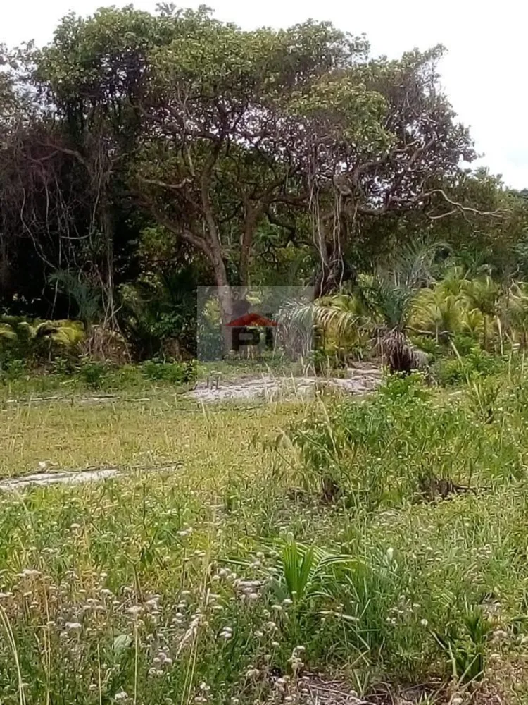 Terreno, 2400 m² - Foto 2