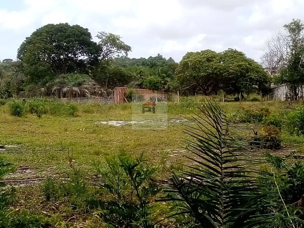 Terreno, 2400 m² - Foto 3
