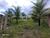 Terreno, 4000 m² - Foto 1