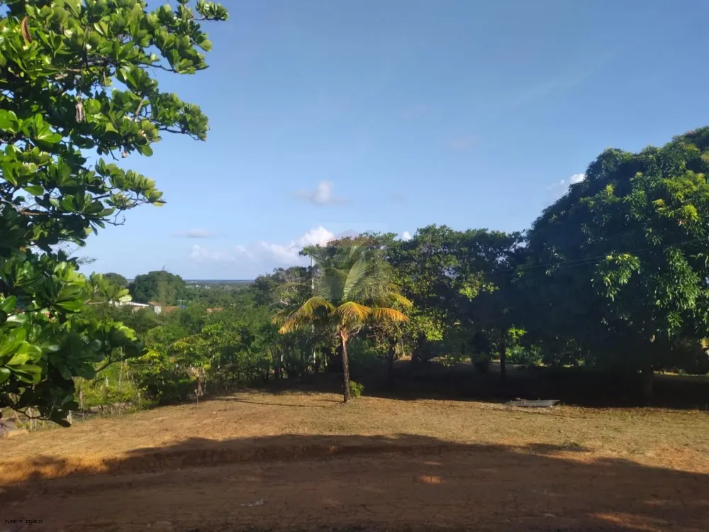 Chácara, 2 quartos, 3200 m² - Foto 15