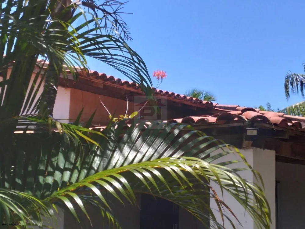 Chácara, 2 quartos, 3200 m² - Foto 5
