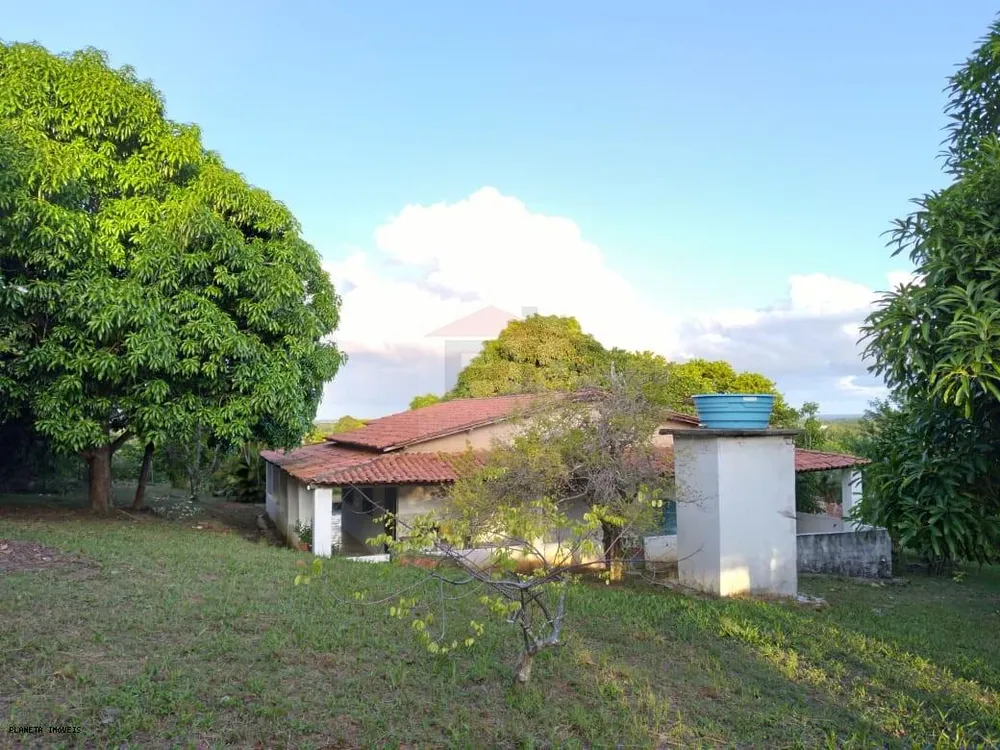 Chácara, 2 quartos, 3200 m² - Foto 10