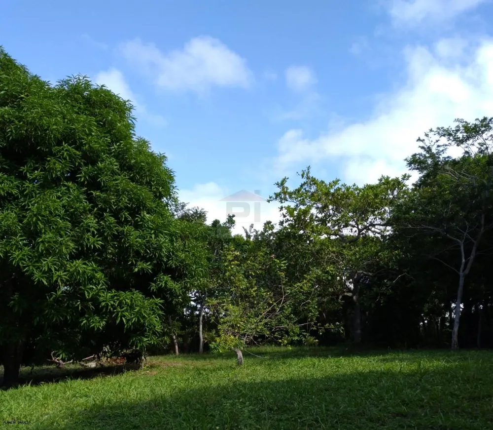 Chácara, 2 quartos, 3200 m² - Foto 4