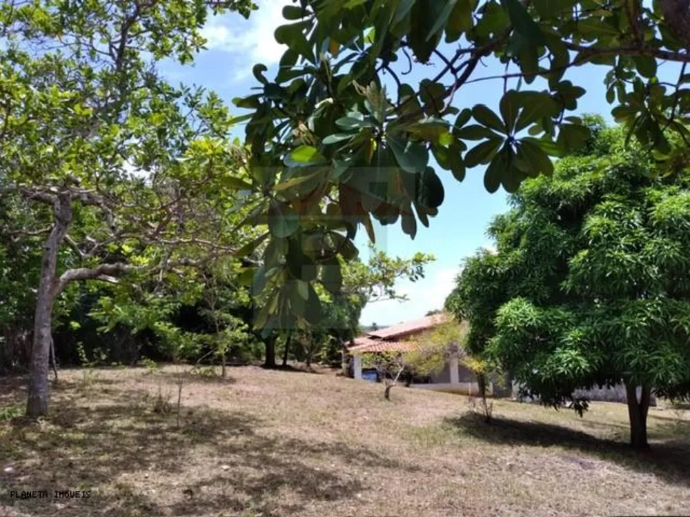 Chácara, 2 quartos, 3200 m² - Foto 12
