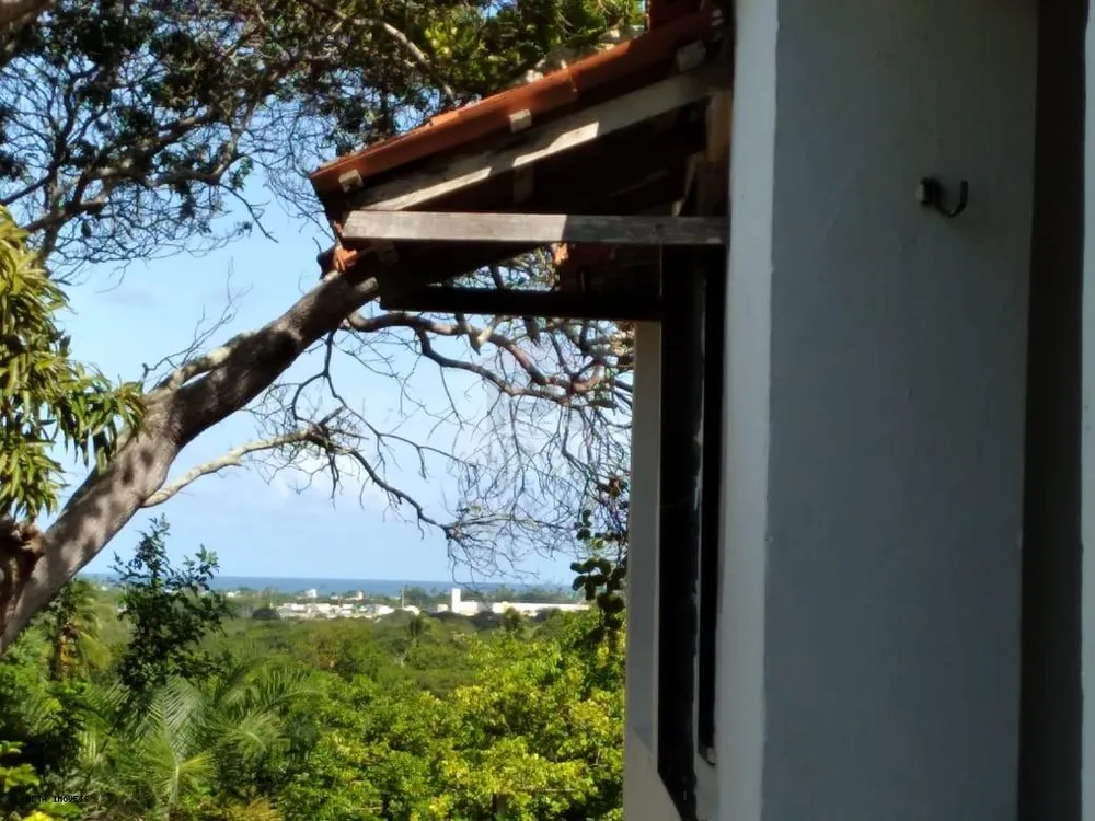 Chácara, 2 quartos, 3200 m² - Foto 2