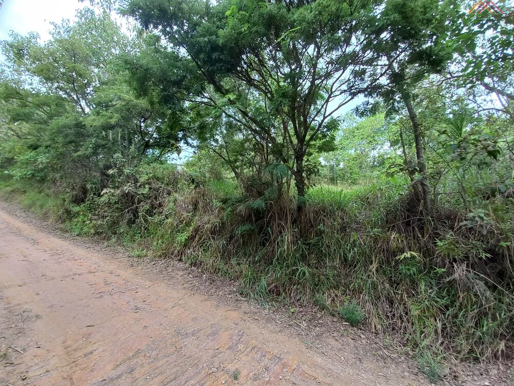 Terreno à venda, 1050m² - Foto 2