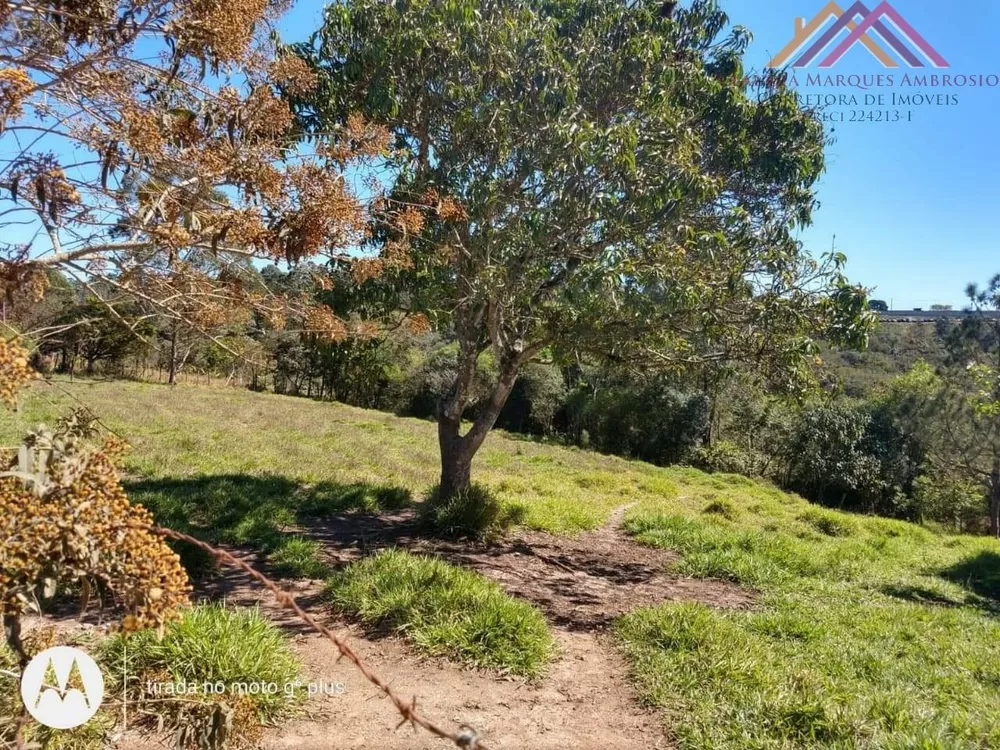 Terreno, 1624 m² - Foto 3