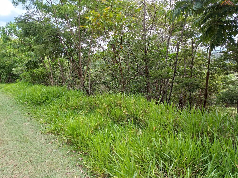 Terreno à venda, 1364m² - Foto 2