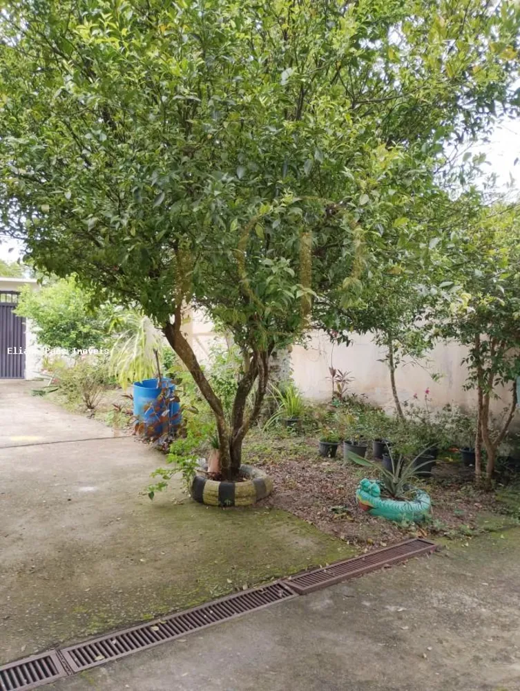 Casa, 6 quartos, 360 m² - Foto 4