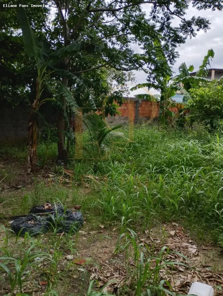 Casa, 4 quartos, 650 m² - Foto 2