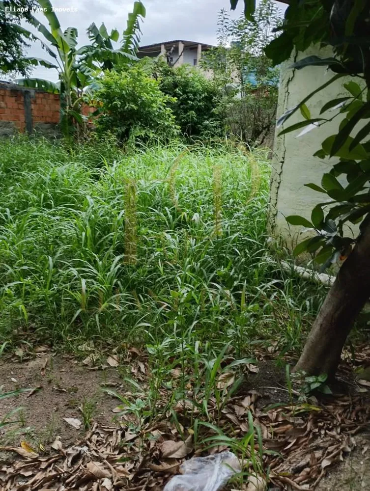 Casa, 4 quartos, 650 m² - Foto 12