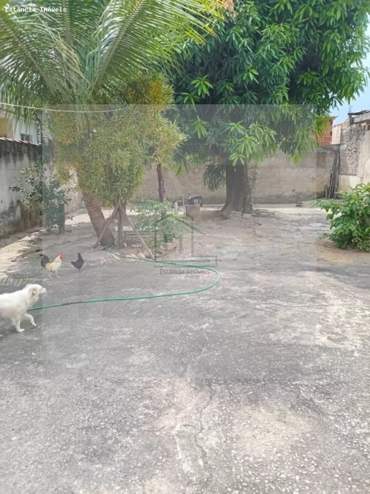 Casa, 3 quartos, 360 m² - Foto 6