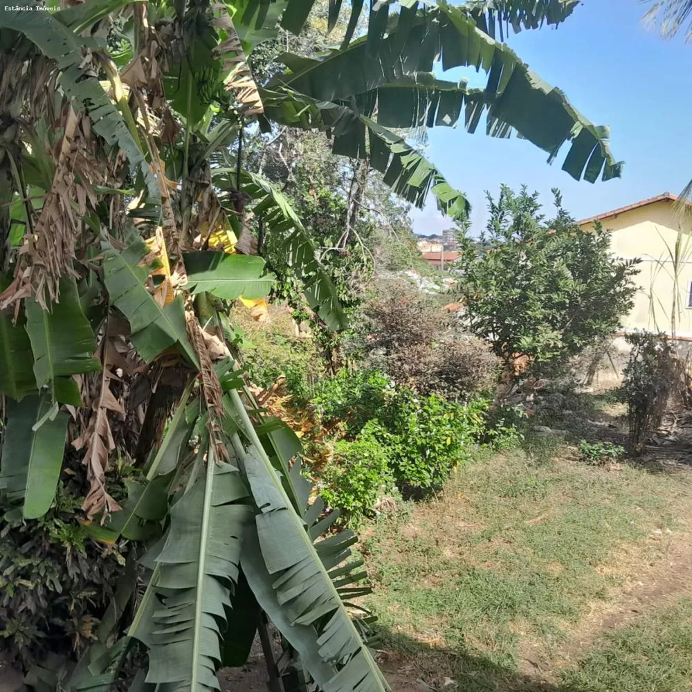 Casa, 4 quartos, 450 m² - Foto 4