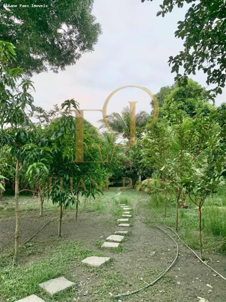 Fazenda, 5000 m² - Foto 5