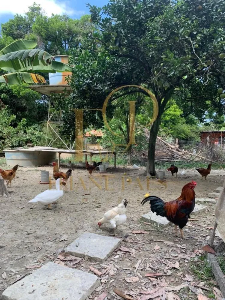 Fazenda, 5000 m² - Foto 16